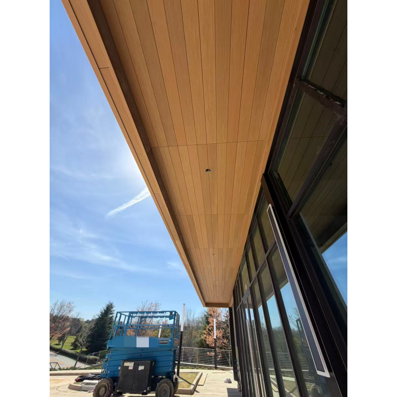 customized outdoor lighting project with wall lighting and garden lights installed on modern building facade