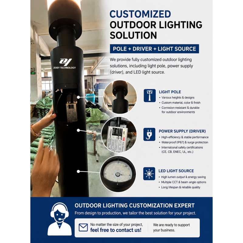 Customized outdoor lighting solution with integrated pole, LED driver and light source